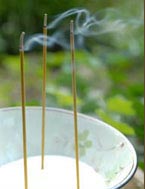 Mountain Wind Zen Meditation