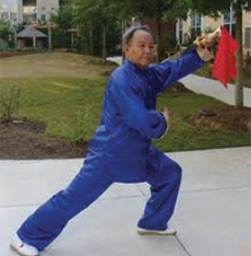 Professor Li Deyin