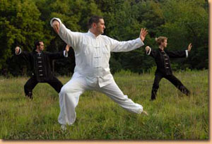 Single Whip - Tai Chi and Chi Kung