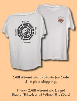 Still Mountain Tai Chi T-Shirts for Sale!